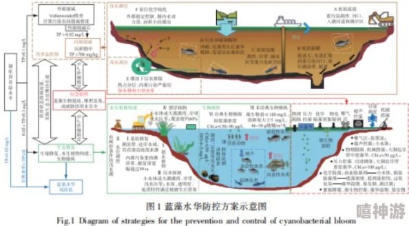 水污污污：新研究揭示水污染对生态系统的深远影响及其治理的新方法与挑战