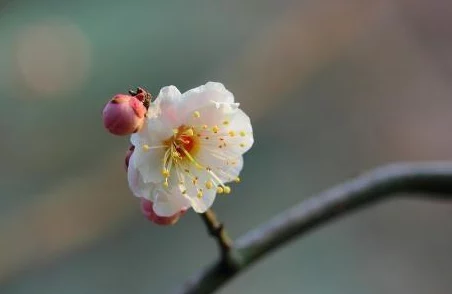 乱翁小说：最新章节发布，情节跌宕起伏，引发读者热议与期待