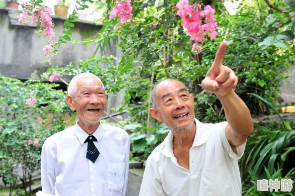 农村老年人生活现状堪忧，亟需社会关注与政策支持，改善养老服务体系刻不容缓！