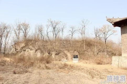 同城：震撼！本地居民意外发现神秘古迹，考古学家紧急赶赴现场调查真相！